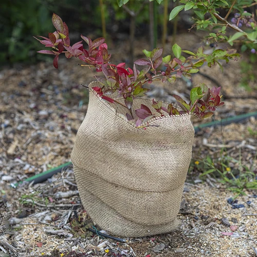 Juteband 10 cm / 5 m - 6 ['Band aus Jute', ' Juteband', ' Band für Tomaten', ' Band für Gurken', ' natürliches Band', ' Öko-Band', ' Band zum Binden', ' Band zum Basteln']