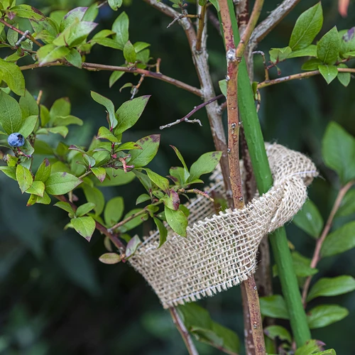 Juteband 5 cm / 10 m - 6 ['Band aus Jute', ' Juteband', ' Band für Tomaten', ' Band für Gurken', ' natürliches Band', ' Öko-Band', ' Band zum Binden', ' Band zum Basteln']