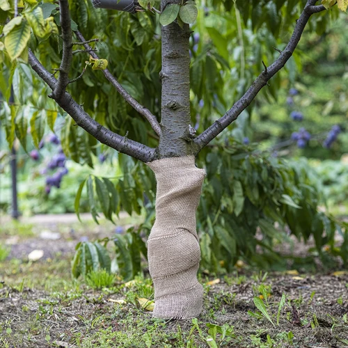 Jutegewebe 30 cm / 5 m - 5 ['Gewebe aus Jute', ' Jutegewebe', ' Gewebe zum Schutz von Bäumen', ' natürliches Jutegewebe', ' Jute-Ökotextil', ' Gewebe zum Binden', ' Gewebe zum Basteln']