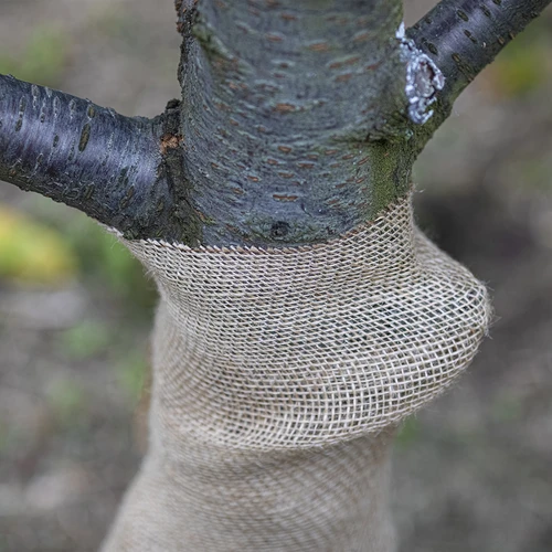 Jutegewebe 30 cm / 5 m - 7 ['Gewebe aus Jute', ' Jutegewebe', ' Gewebe zum Schutz von Bäumen', ' natürliches Jutegewebe', ' Jute-Ökotextil', ' Gewebe zum Binden', ' Gewebe zum Basteln']