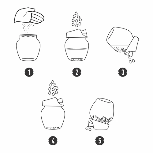 Keimglas Twist-Off + 5 Samenpackungen - 9 ['Keimglas', ' Anbau von Sprossen', ' Radieschensprossen', ' Rabbs-Brokkoli', ' Mung-Sprossen']