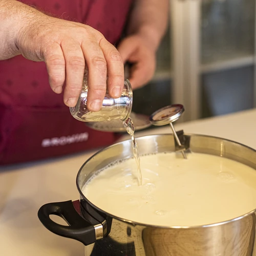 Mikrobiologisches Lab für Käse 5x1 g - 6 ['für Käse', ' mikrobielles Lab', ' für Vegetarier', ' selbstgemachter Käse']