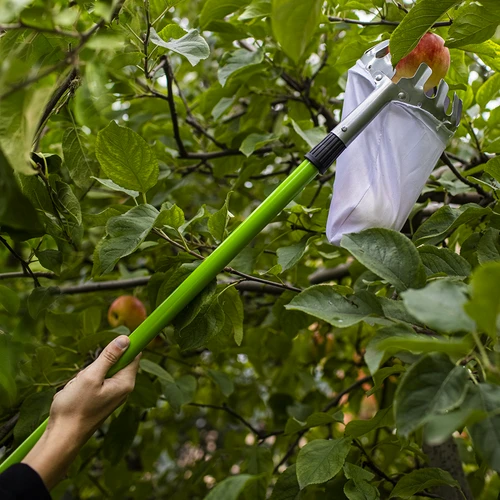 Obstpflücker mit Teleskopstiel - 4 ['Obstpflücker', ' Pflücker für Süßkirschen', ' Pflücker für Äpfel', ' Pflücken von Obst', ' Teleskopobst-Pflücker']