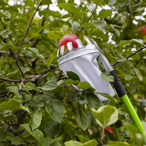 Obstpflücker mit Teleskopstiel - 5 ['Obstpflücker', ' Pflücker für Süßkirschen', ' Pflücker für Äpfel', ' Pflücken von Obst', ' Teleskopobst-Pflücker']