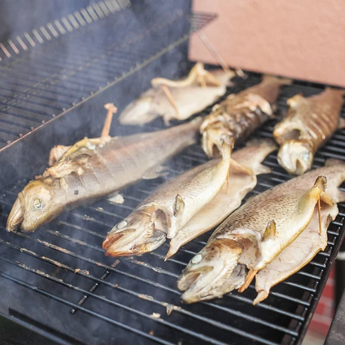 Räucher-/Grillholzhackschnitzel von Fisch, 50 % Eiche + 50% Erle, 450 g, Kl. 8 - 14 ['Räucherholzschnitzel', ' Räucherholzspäne', ' Grillholzschnitzel', ' Grillholzspäne', ' Räucherrauch', 'Fischholzschnitzel', ' Holzhackschnitzel aus Eiche und Erle', ' Holzspängemisch für Fisch', ' Holzspängemisch aus Eiche und Erle', ' Holzhackschitzel zum Räuchern von Fisch', ' Räucherkammerholzchnitzel', ' Fisch räuchern', ' Fisch vom Grill', ' Karpfen Kabeljau Forelle Lachs vom Grill', ' Kalträuchern', ' kaltgeräucherter Lachs', ' für die Räucherkammer', ' welche Holzspäne']