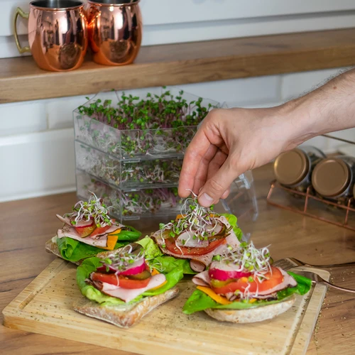 Sauberes Früchtchen - das Keimgerät + Radieschensamen - 16 ['gesunde Sprossen', ' Sprossen zu Hause angebaut', ' Sprossen veganes Produkt', ' Sprossen zu Hause wachsen', ' Rettichsprossen', ' Sprossen wachsen', ' Rettichsamen', ' Samen Sprouter Kit']