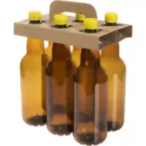Set von PET-Bierflaschen 1 L im Tragekasten (6 St.)