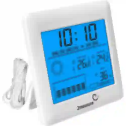 Wetterstation - elektronisch, Sonde, Thermometer